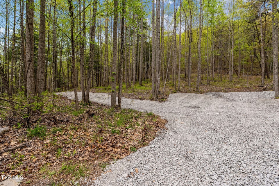 Photo #4: 1485 Barrett Hollow Road