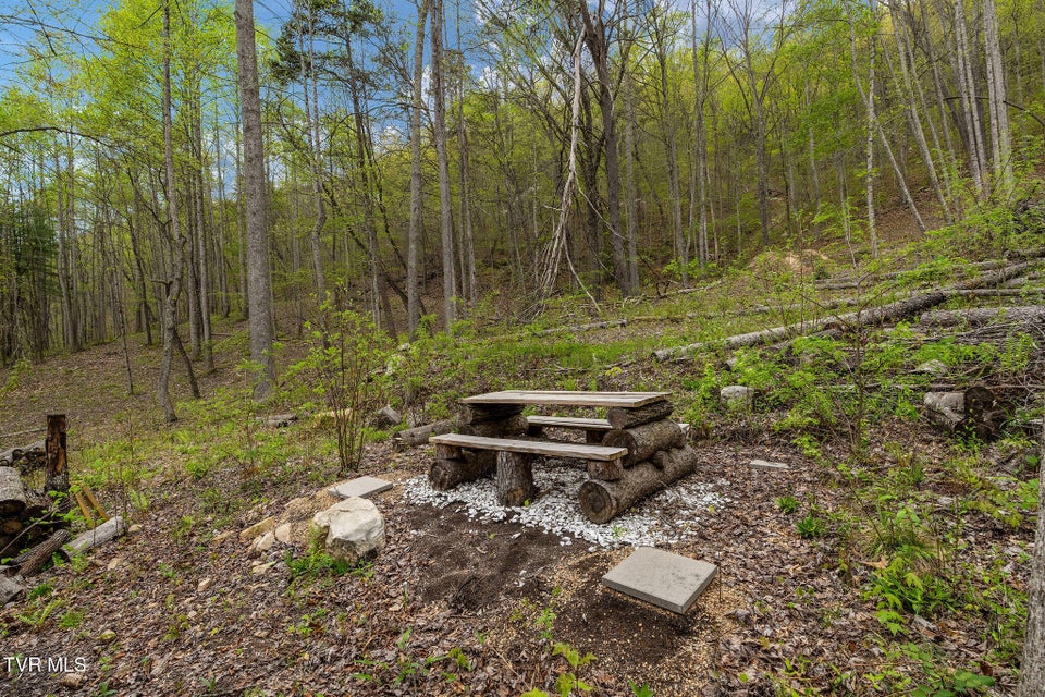 Photo #14: 1485 Barrett Hollow Road