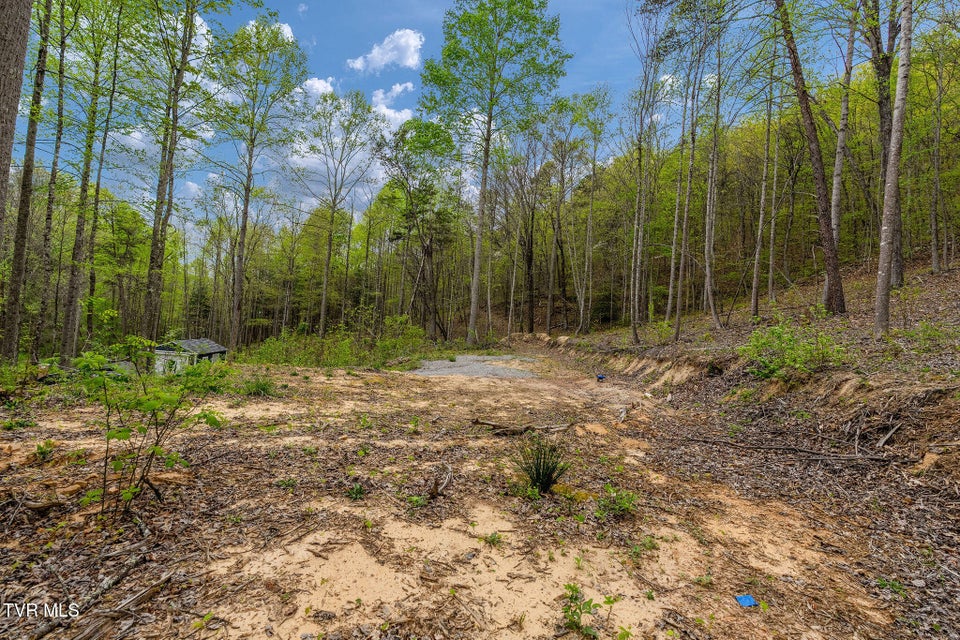 Photo #15: 1485 Barrett Hollow Road