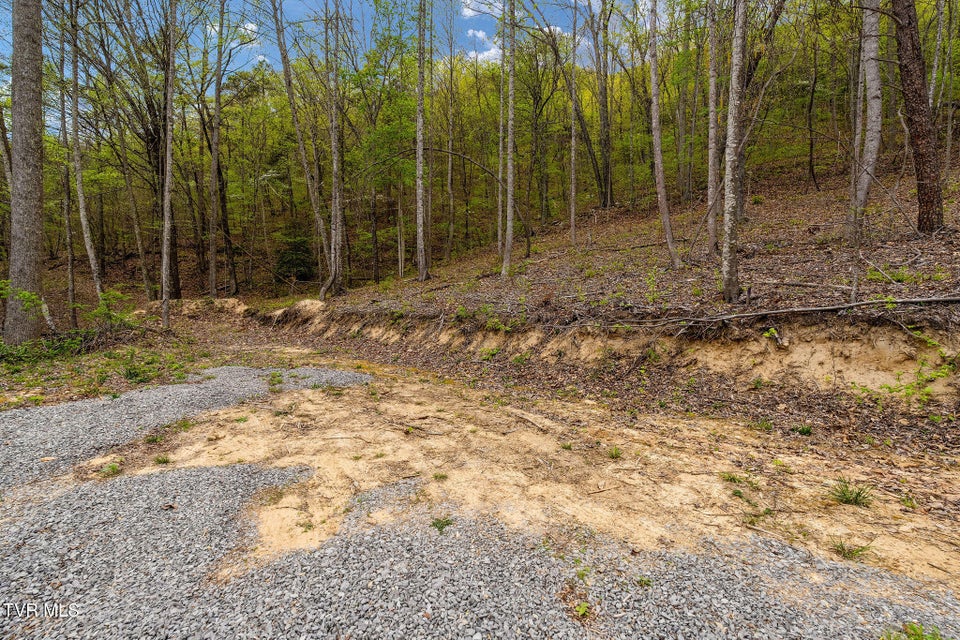 Photo #18: 1485 Barrett Hollow Road