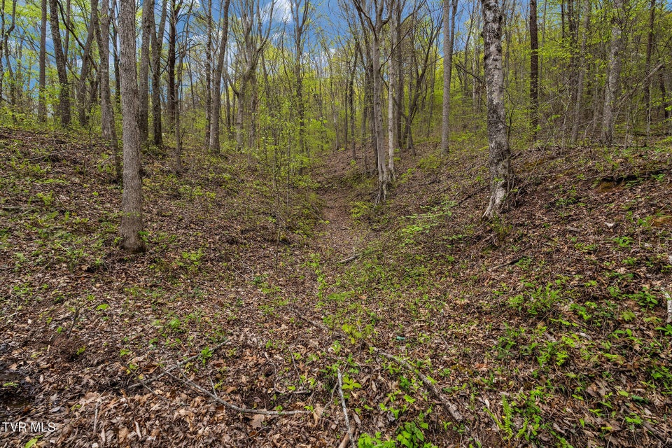 Photo #19: 1485 Barrett Hollow Road