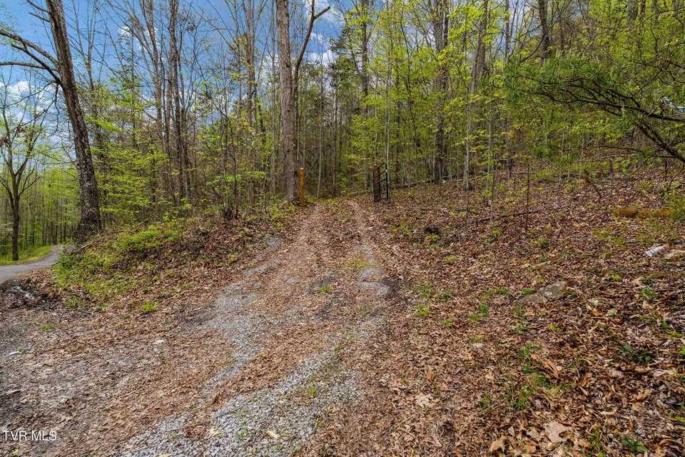 Photo #20: 1485 Barrett Hollow Road