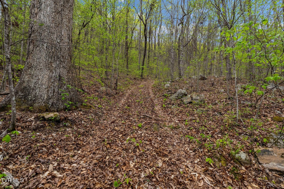 Photo #21: 1485 Barrett Hollow Road