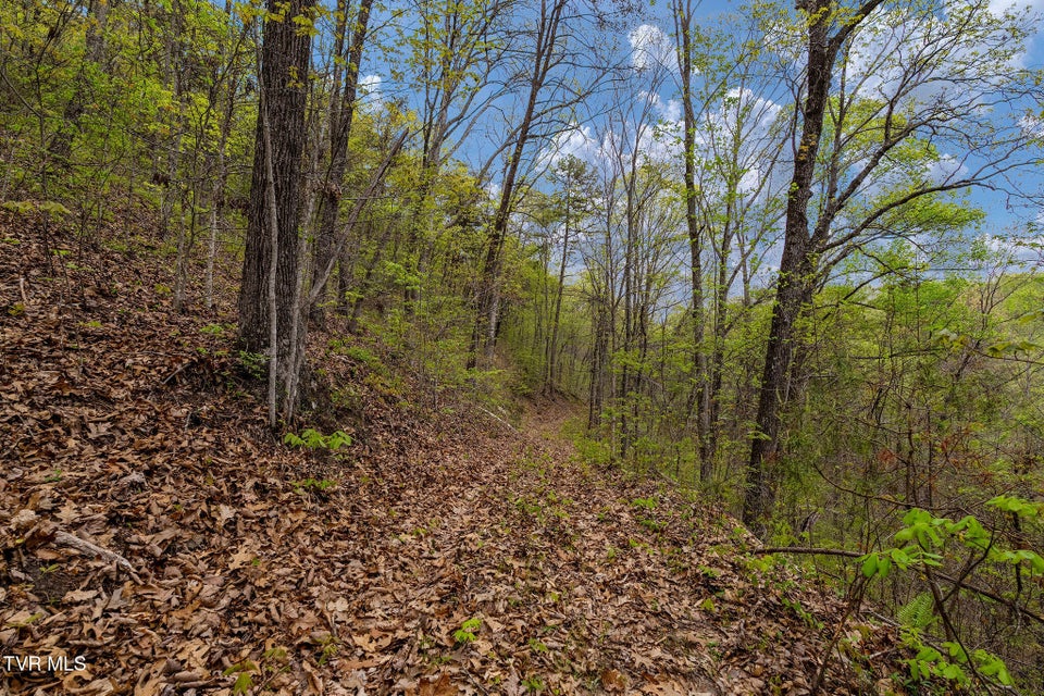 Photo #22: 1485 Barrett Hollow Road