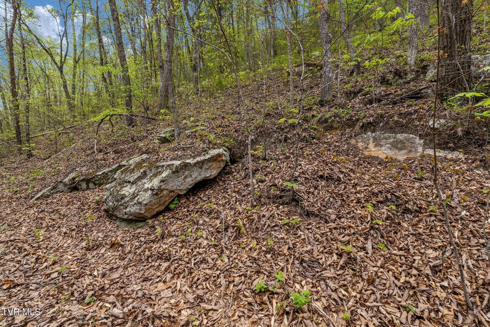 Photo #23: 1485 Barrett Hollow Road