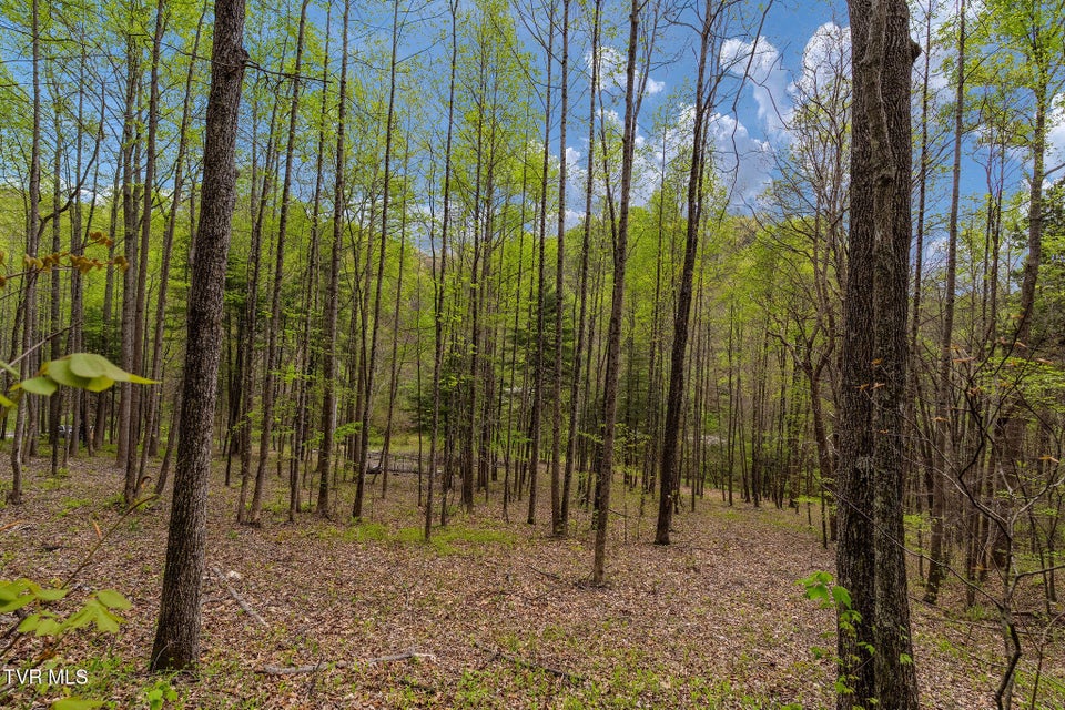 Photo #24: 1485 Barrett Hollow Road