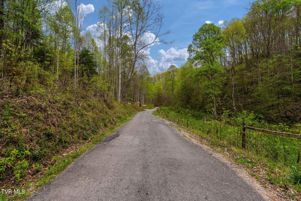 Photo #25: 1485 Barrett Hollow Road