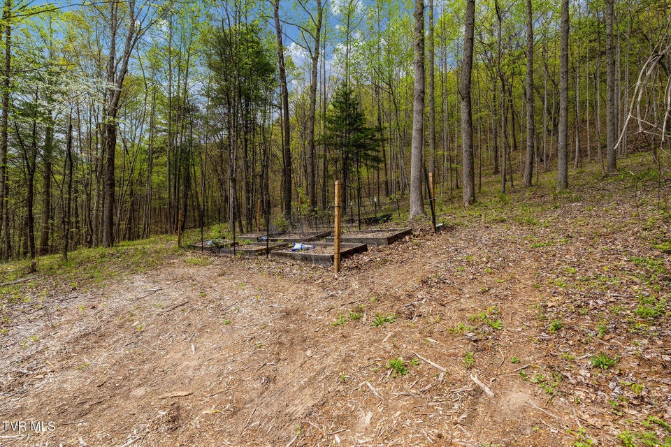 Photo #26: 1485 Barrett Hollow Road