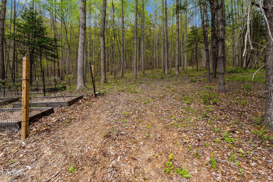 Photo #27: 1485 Barrett Hollow Road