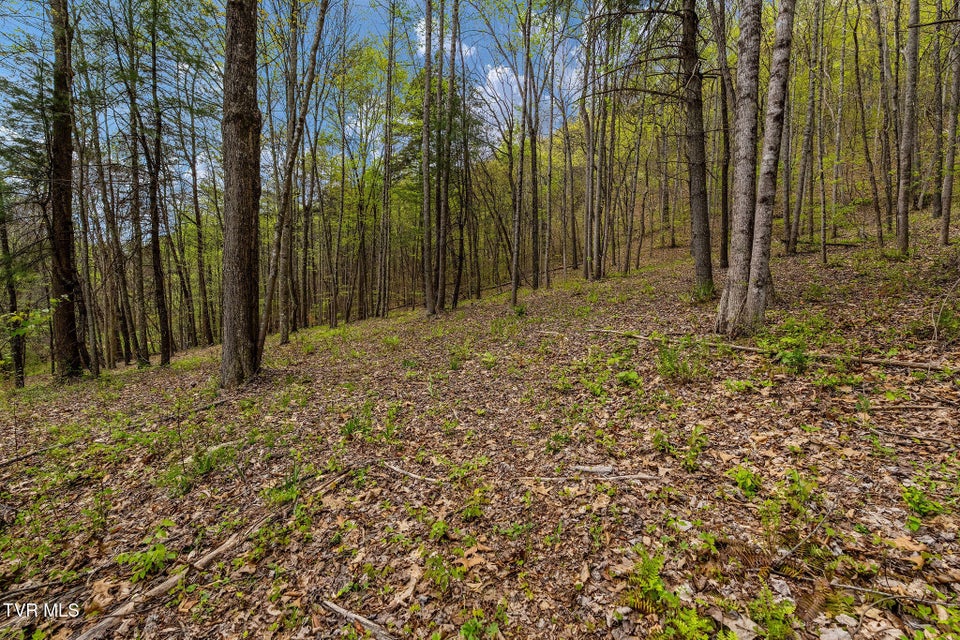 Photo #28: 1485 Barrett Hollow Road