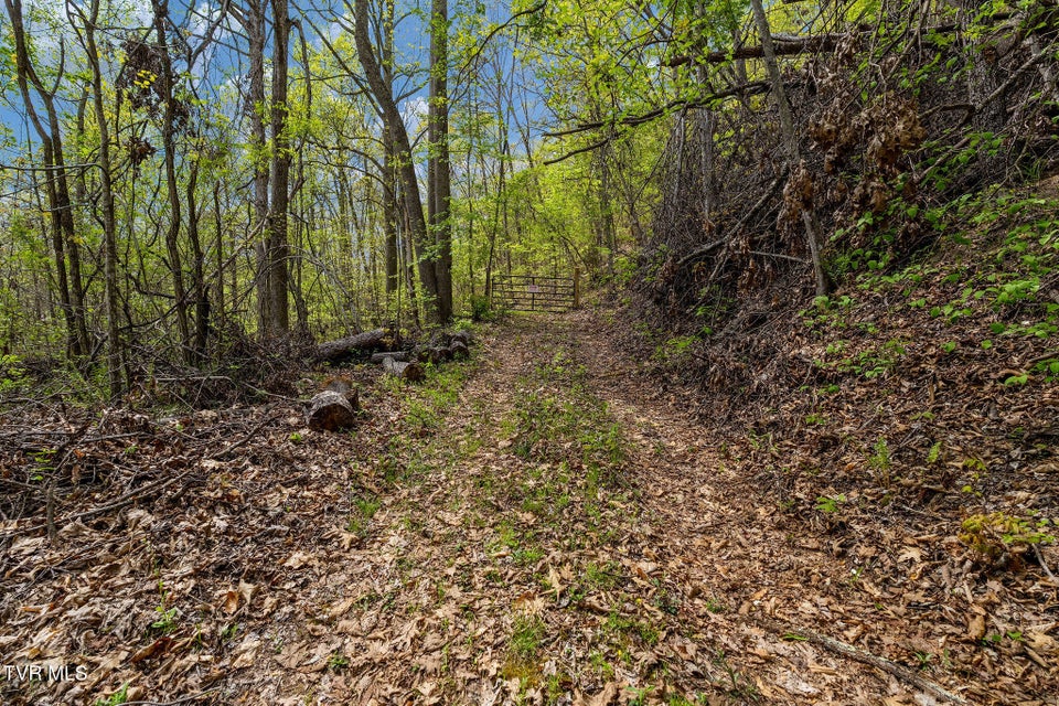 Photo #29: 1485 Barrett Hollow Road