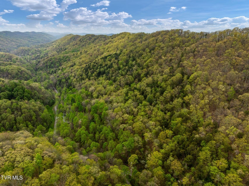 Photo #31: 1485 Barrett Hollow Road