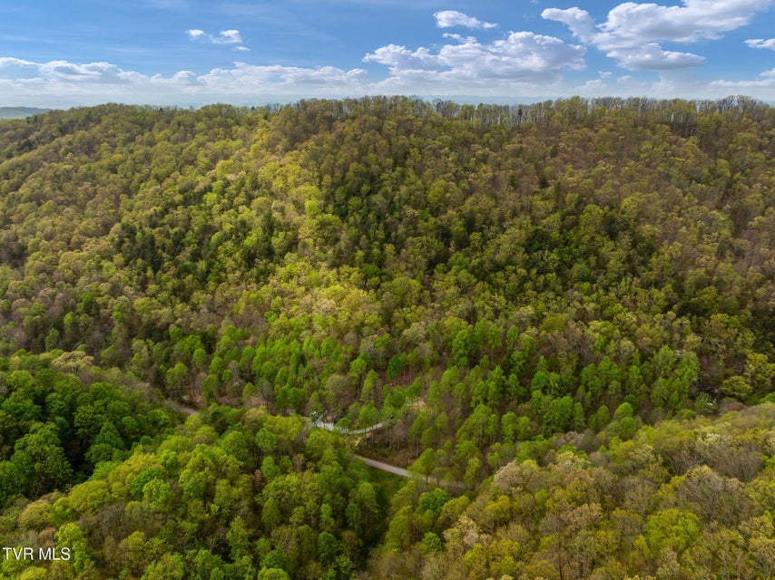 Photo #32: 1485 Barrett Hollow Road