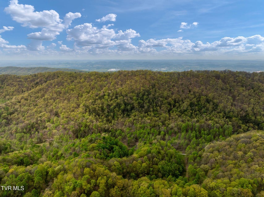 Photo #33: 1485 Barrett Hollow Road