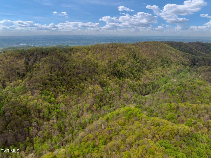 Photo #35: 1485 Barrett Hollow Road