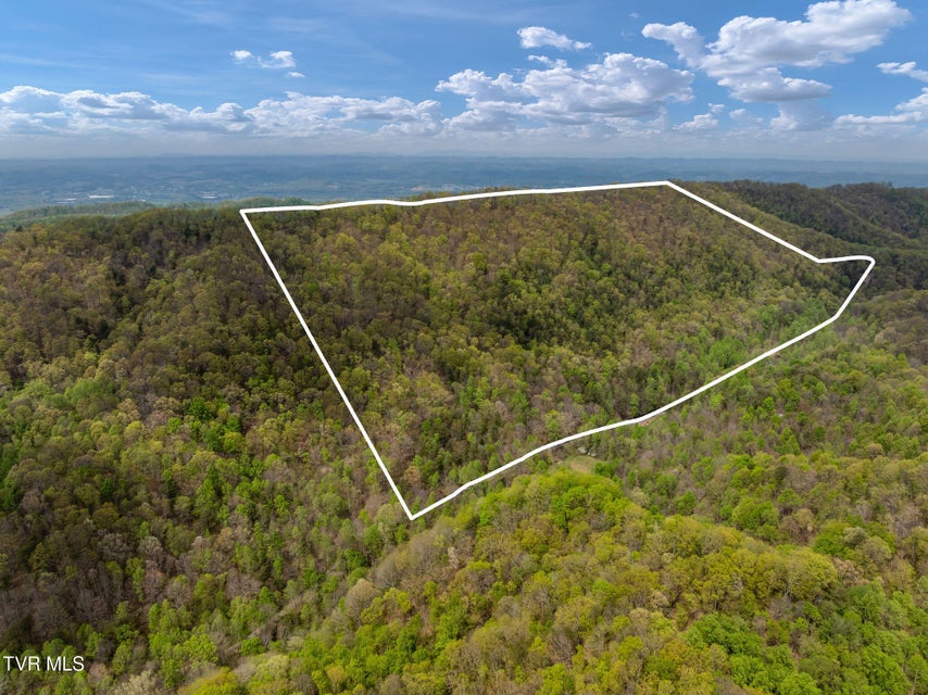 Photo #30: 1485 Barrett Hollow Road