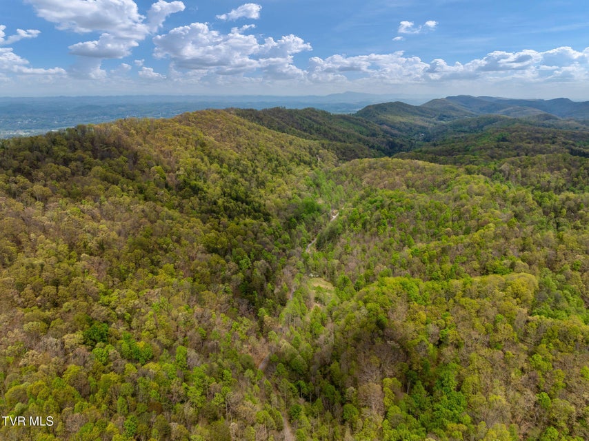 Photo #36: 1485 Barrett Hollow Road