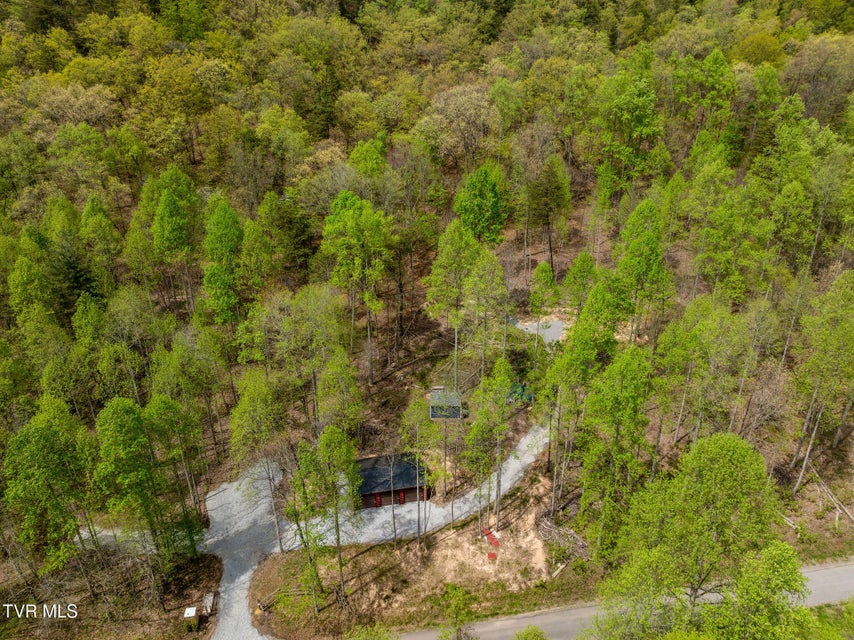 Photo #37: 1485 Barrett Hollow Road