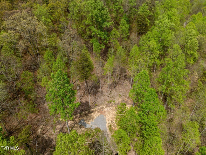 Photo #38: 1485 Barrett Hollow Road