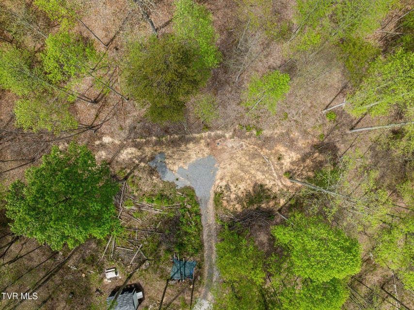 Photo #39: 1485 Barrett Hollow Road