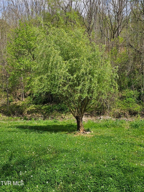 Photo #14: 32222 Old Saltworks Road