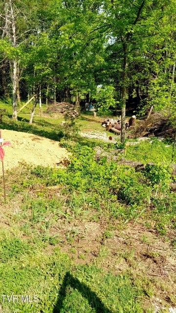 Photo #3: 655 Sioux Trail