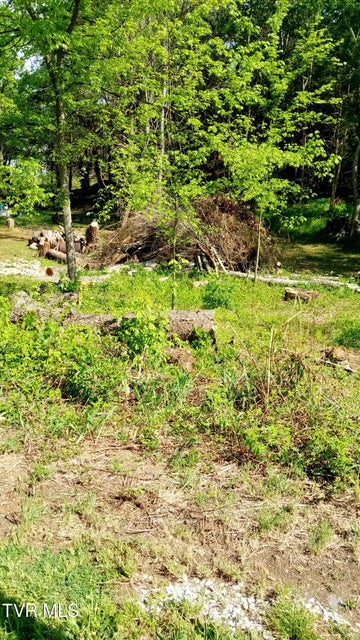 Photo #4: 655 Sioux Trail