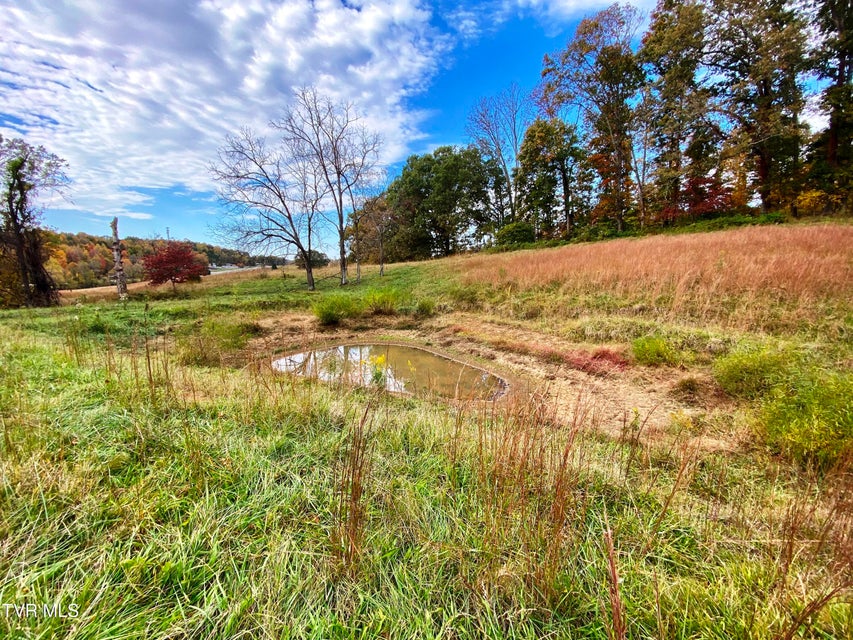 Photo #4: Tbd Sr-1 Highway