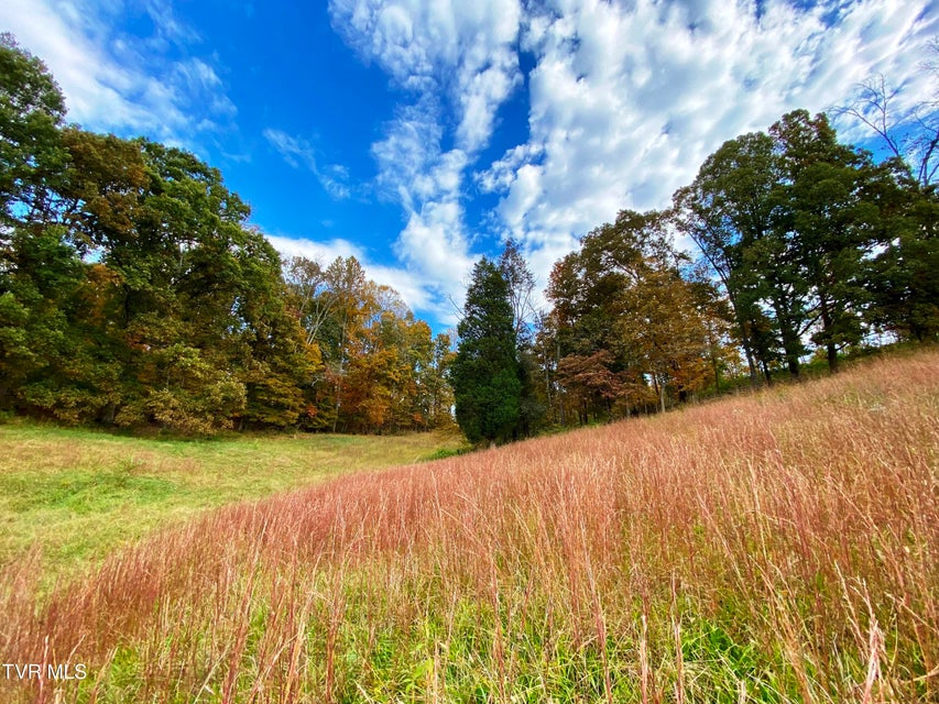 Photo #5: Tbd Sr-1 Highway