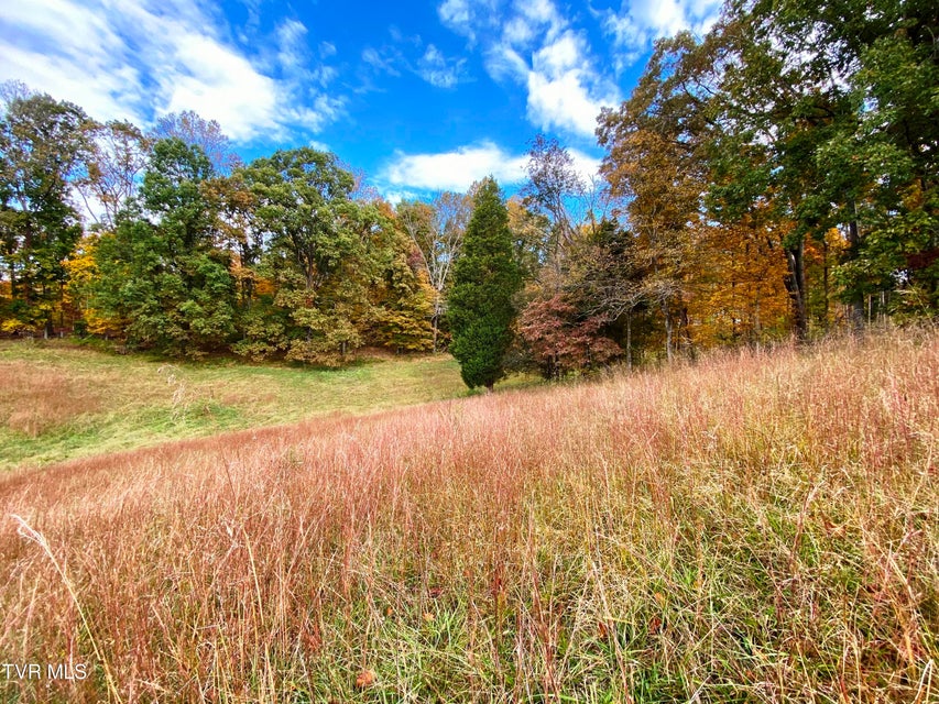 Photo #9: Tbd Sr-1 Highway