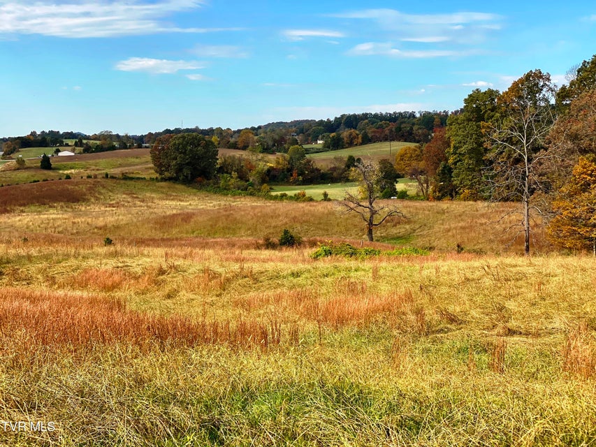 Photo #11: Tbd Sr-1 Highway