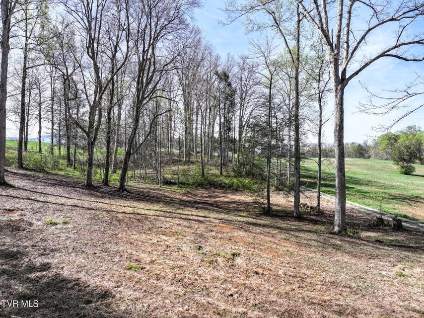 Photo #3: 190 Treadway Rd 