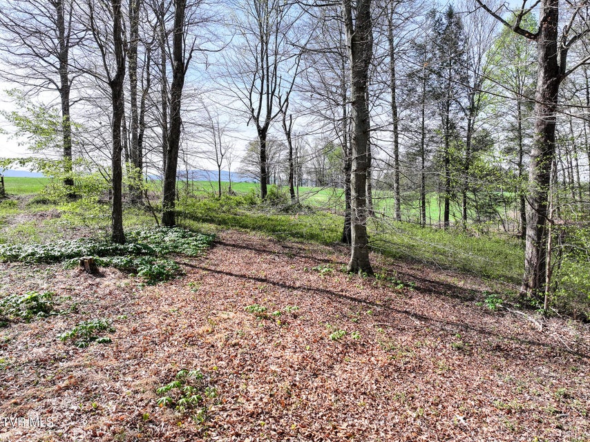 Photo #7: 190 Treadway Rd 