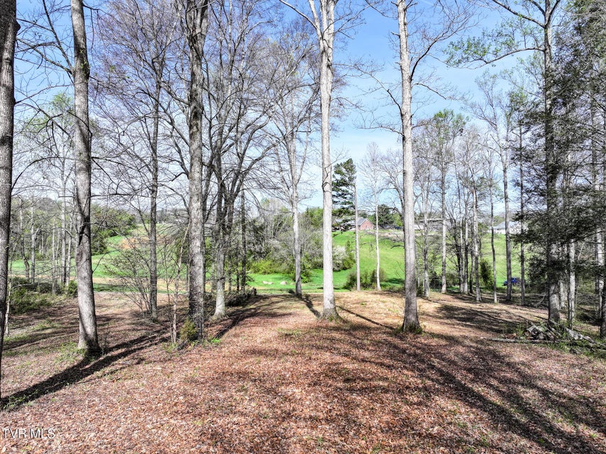 Photo #8: 190 Treadway Rd 