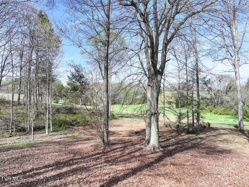 Photo #13: 190 Treadway Rd 
