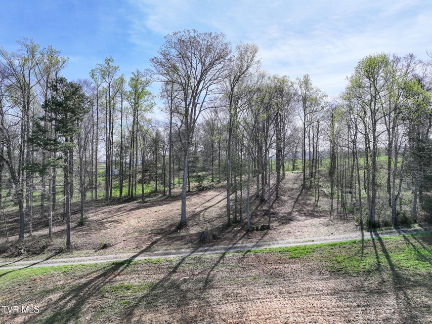 Photo #14: 190 Treadway Rd 
