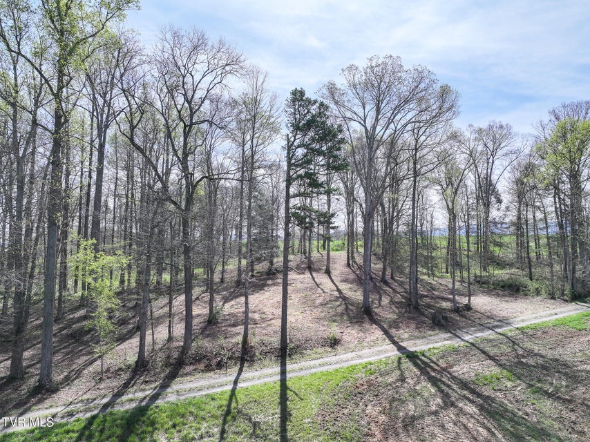 Photo #12: 190 Treadway Rd 