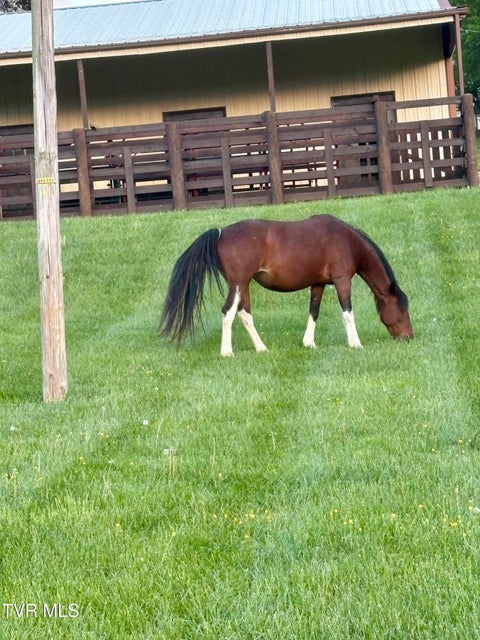 Photo #45: 231 County Farm Road
