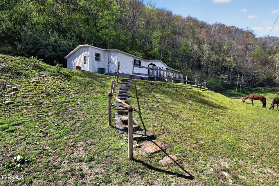 Photo #29: 11343 Robinson Hollow Road