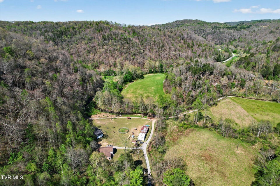 Photo #61: 11343 Robinson Hollow Road