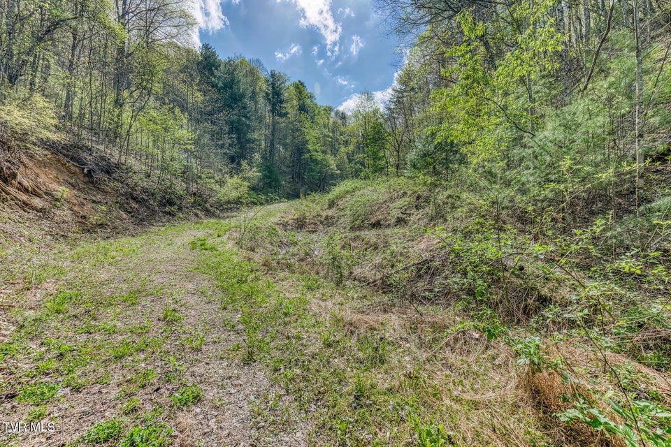 Photo #4: Tbd T Greer Road