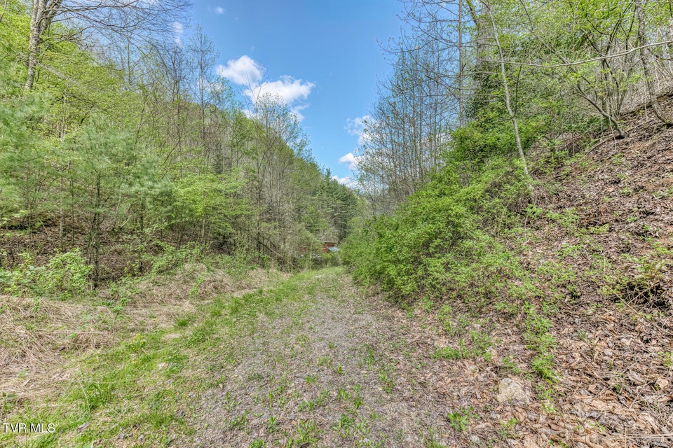 Photo #5: Tbd T Greer Road