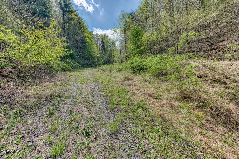 Photo #6: Tbd T Greer Road