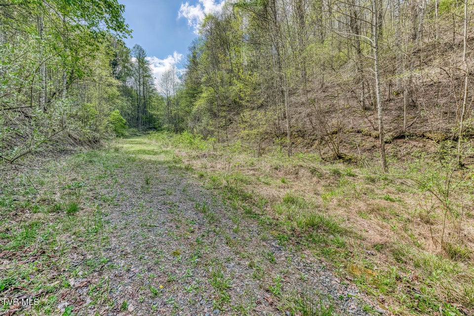 Photo #7: Tbd T Greer Road