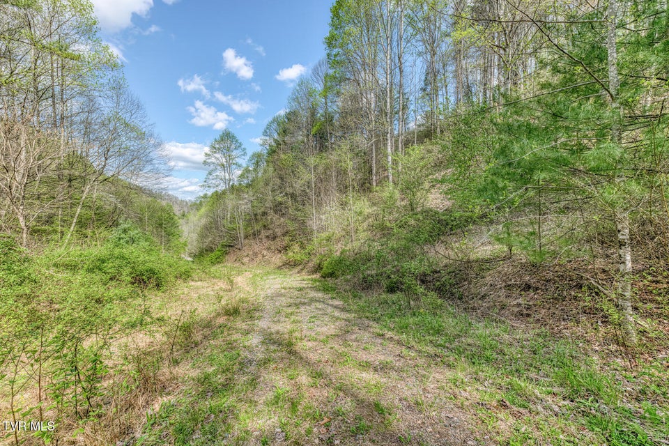 Photo #8: Tbd T Greer Road