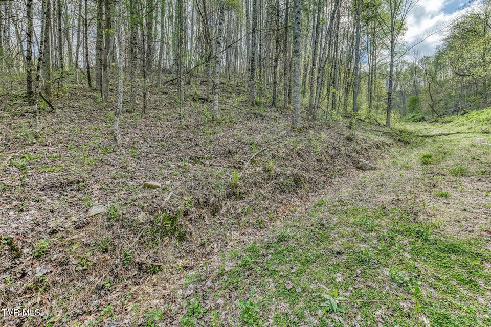 Photo #10: Tbd T Greer Road