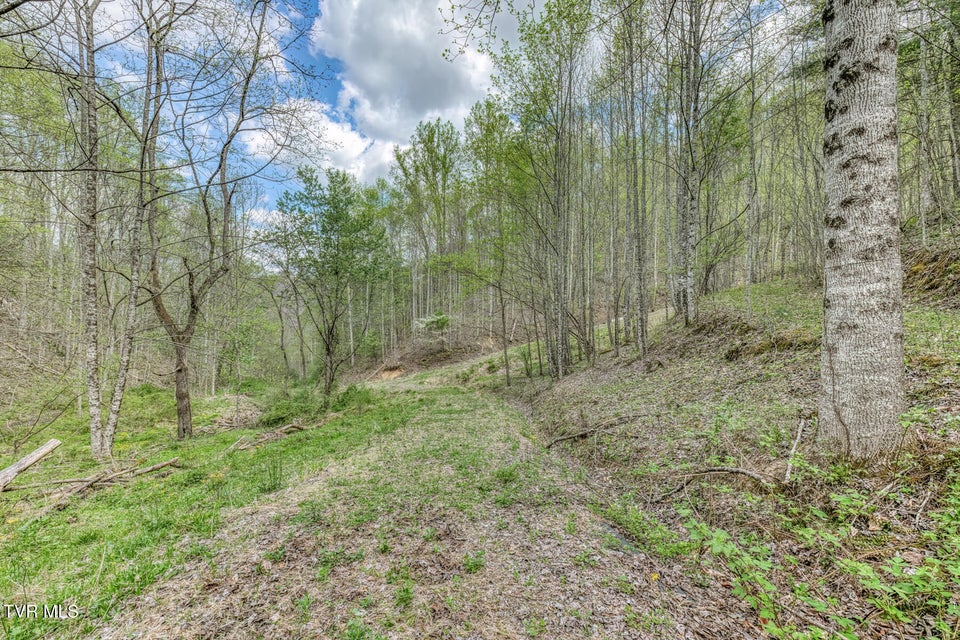 Photo #12: Tbd T Greer Road