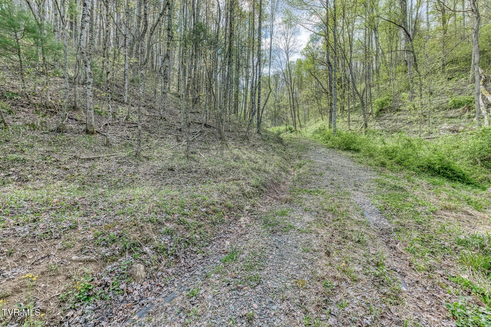 Photo #13: Tbd T Greer Road