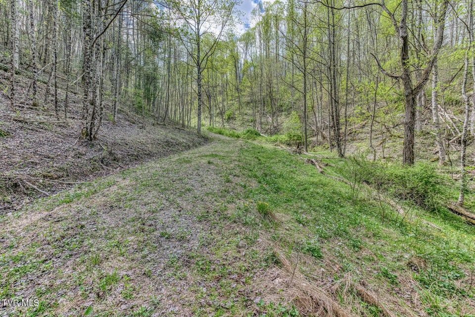 Photo #14: Tbd T Greer Road