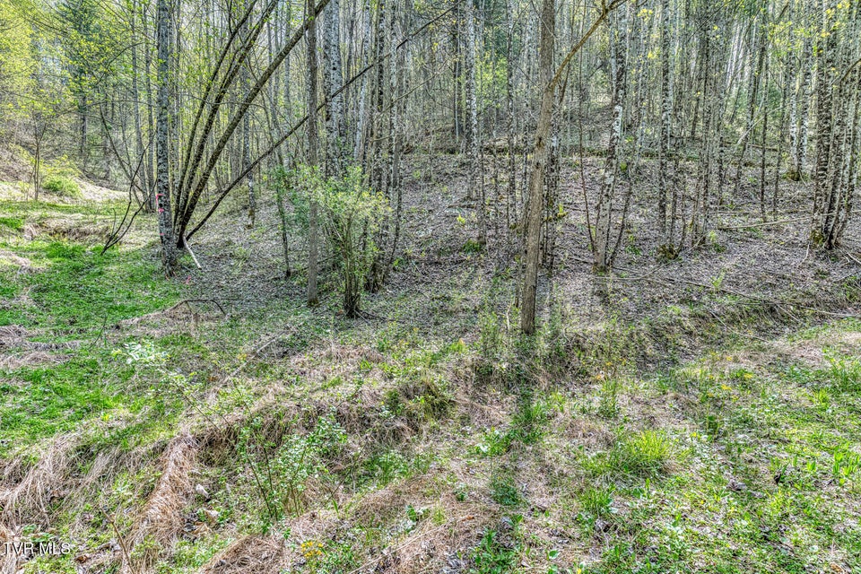 Photo #15: Tbd T Greer Road